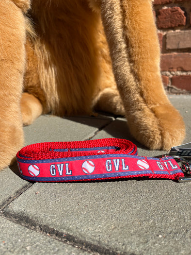 Paw Paws GVL Baseball Dog leash